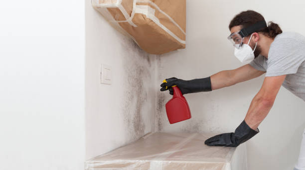 Professional Crawl Space Mold Remediation technician working in Wilmington, MA