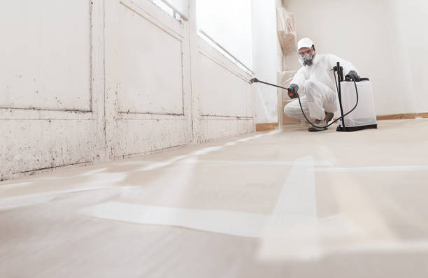 24/7 Emergency Crawl Space Mold Remediation experts in Wilmington, MA