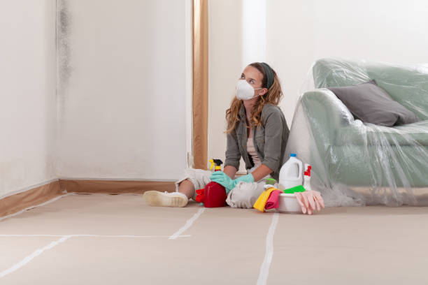 Reliable Crawl Space Mold Remediation contractor in Wilmington, MA by Car Mold Remediation